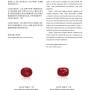 grs_color_terms_jan2021_webversion-1625645946-图片-21.jpg