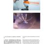 grs_color_terms_jan2021_webversion-1625645946-图片-9.jpg