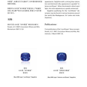 grs_color_terms_jan2021_webversion-1625645946-%E5%9B%BE%E7%89%87-33.jpg