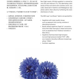 grs_color_terms_jan2021_webversion-1625645946-%E5%9B%BE%E7%89%87-35.jpg