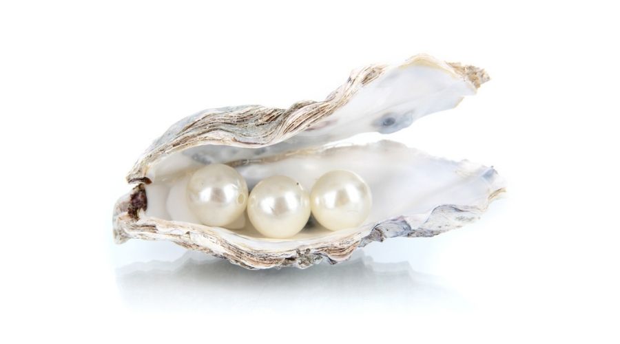 Pearls_in_oyster_shell.jpg