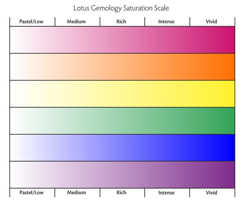 lotus-saturation-scale-2.jpg